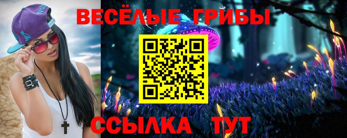 Псилоцибиновые грибы мицелий  Вход с VPN  Будённовск 