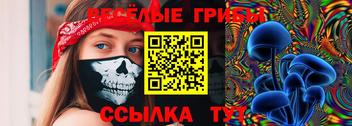 Псилоцибиновые грибы Magic Shrooms Будённовск